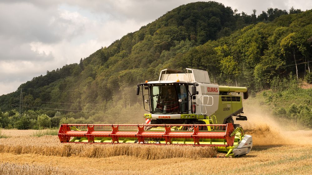Combine harvester working in a golden wheat field